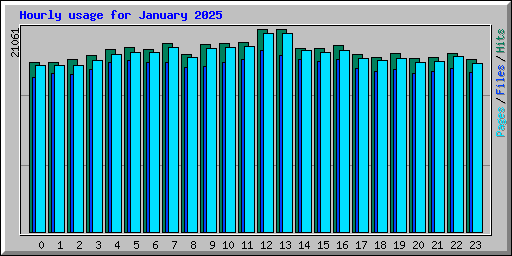 Hourly usage for January 2025