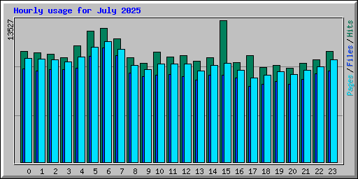 Hourly usage for July 2025